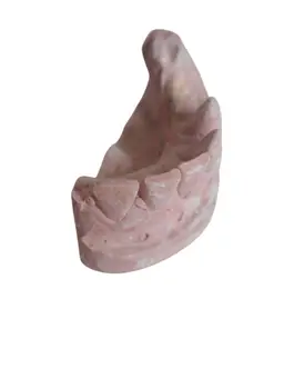 Vintage Cast Dental Teeth Mold Tooth Castings Medical Oddity #7