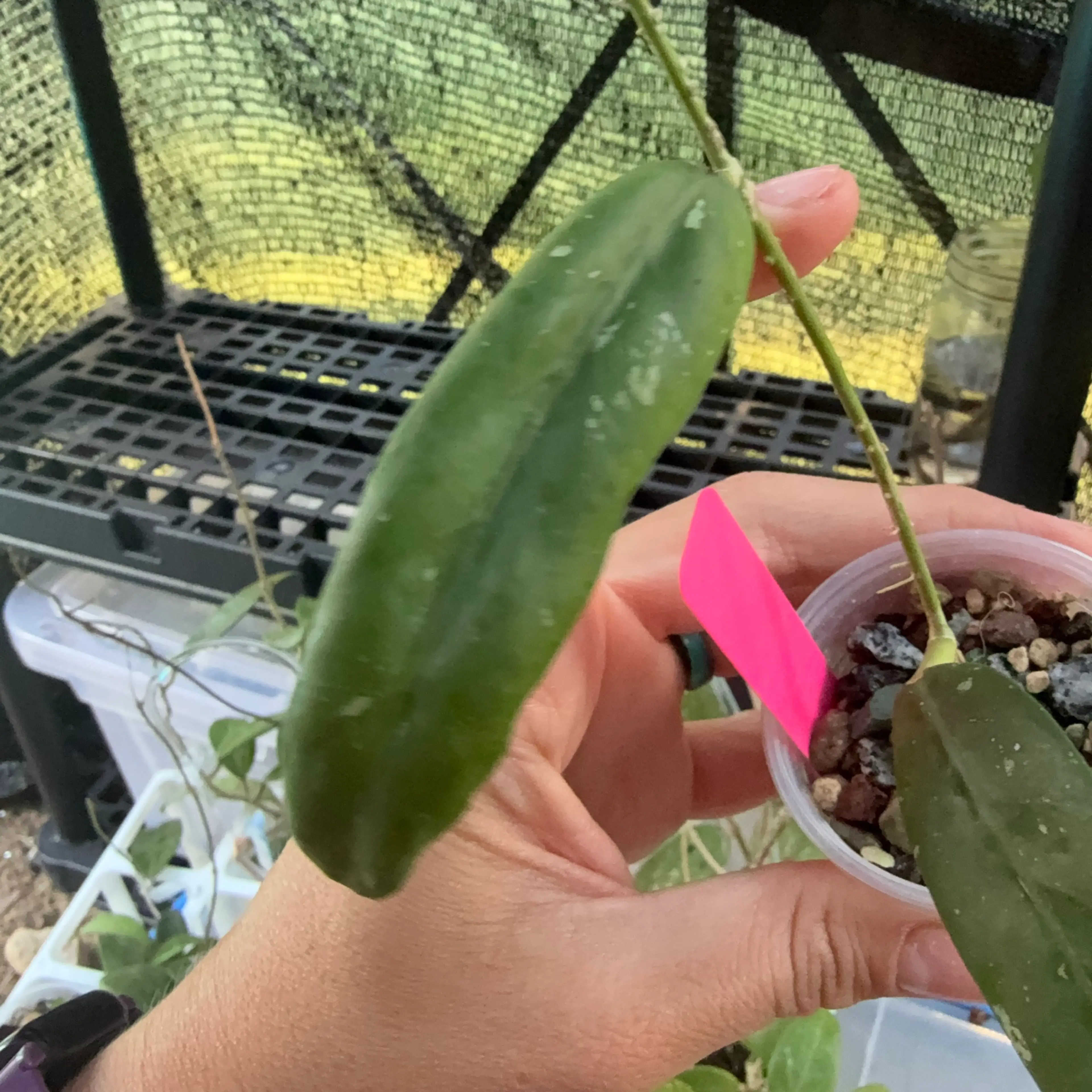 Image 2 of 3