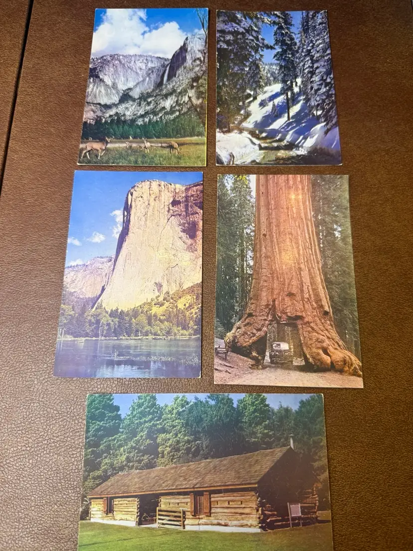 Lot Of 11 Postcards