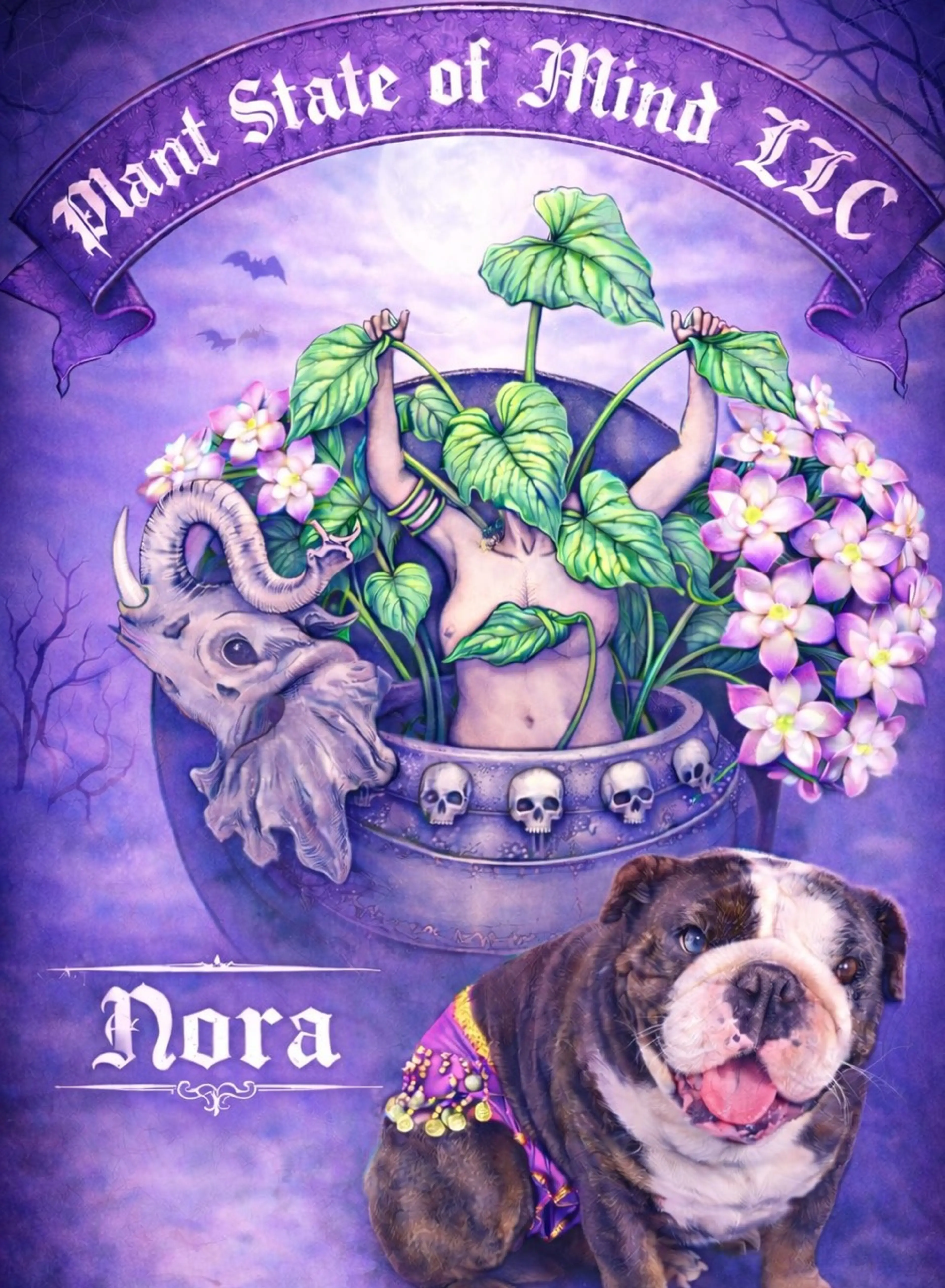 Hoya Random Pulls & Request Day!