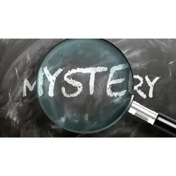 Mystery Cuttings Box 👀