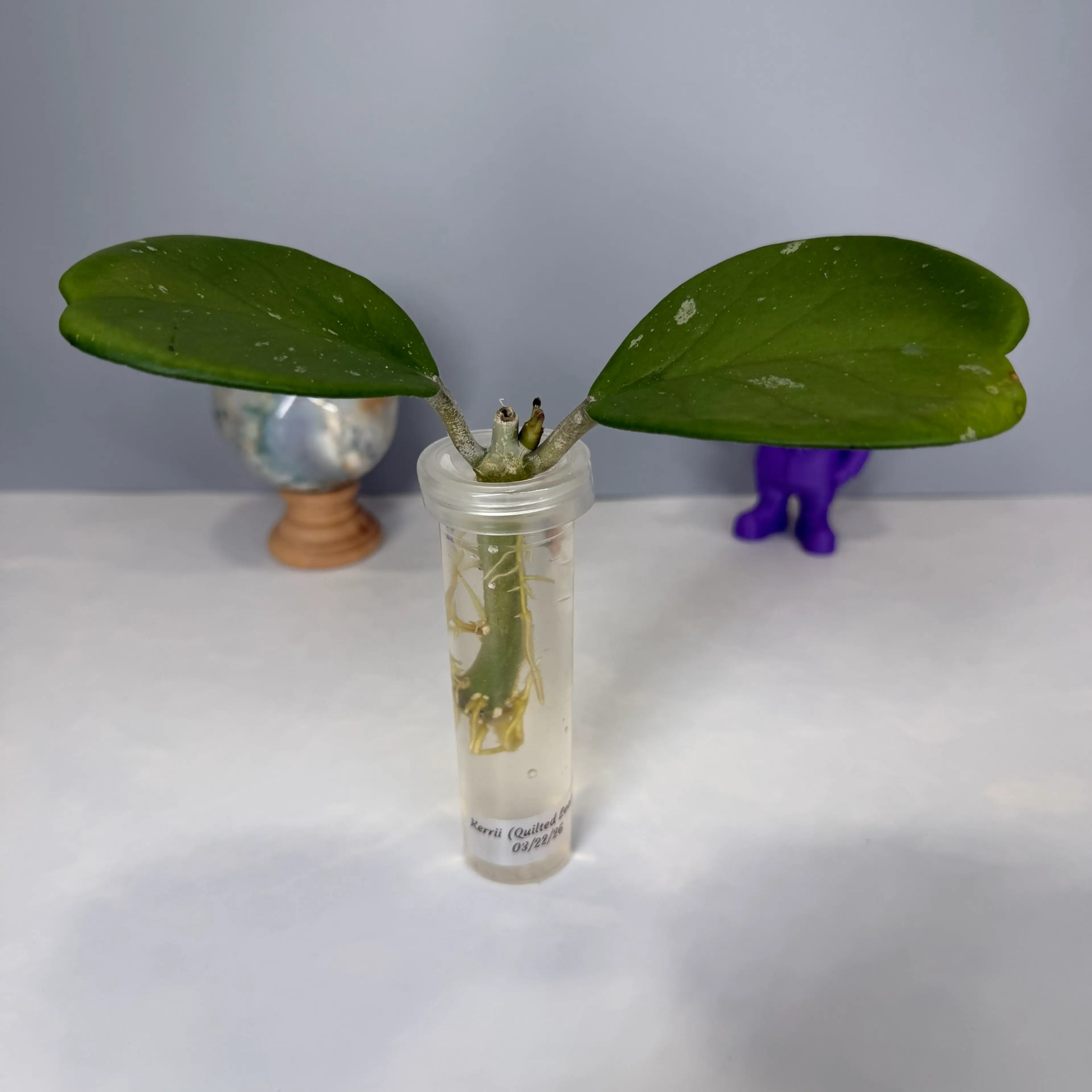 Image 1 of 3