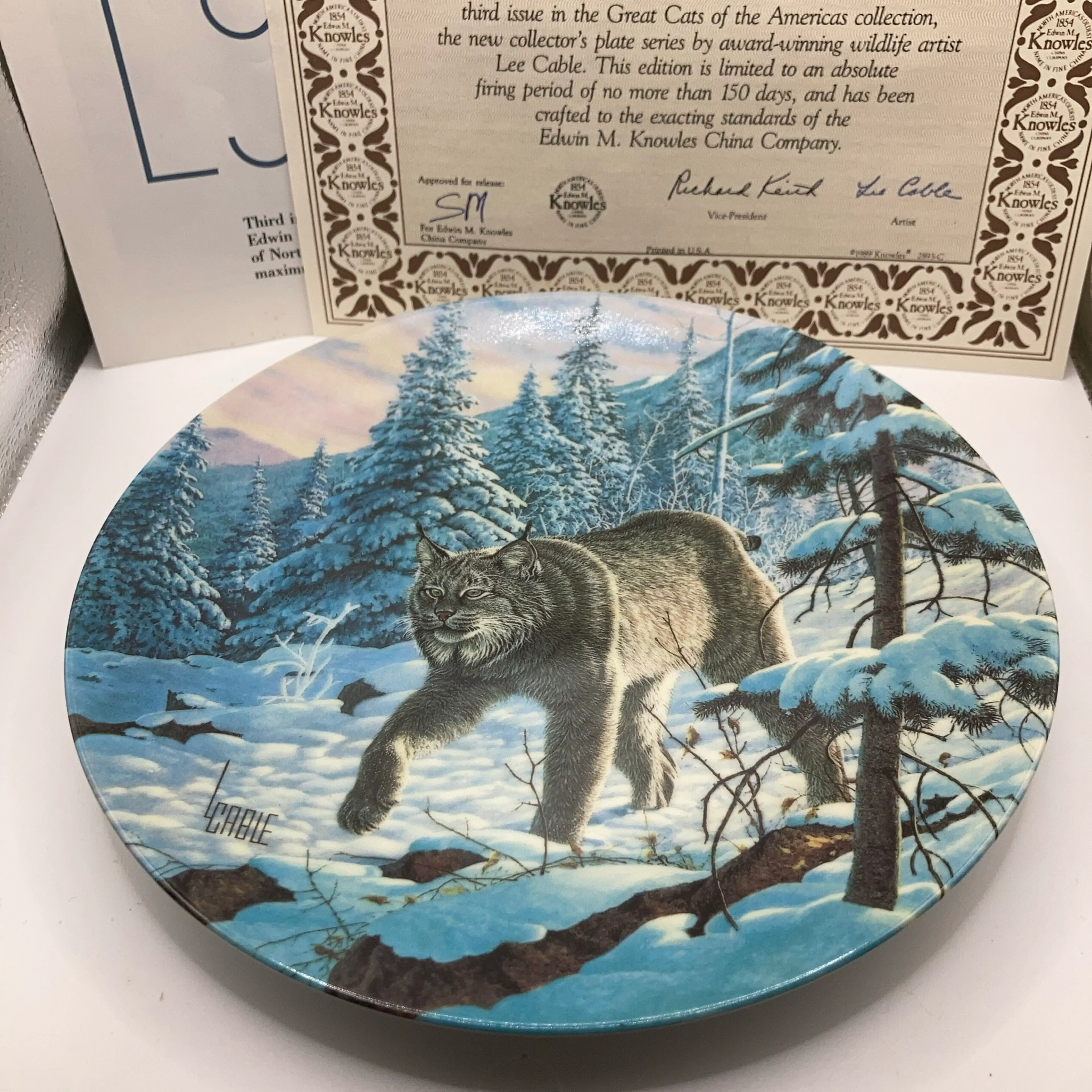 Image 3 of 12