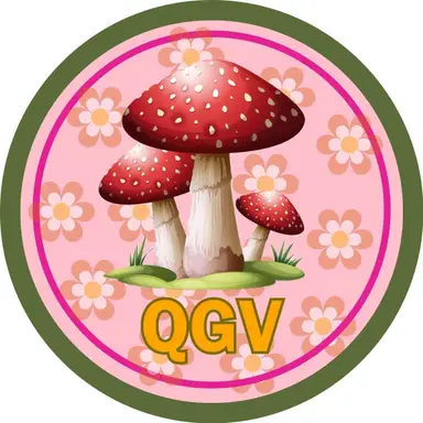 Quirky Groovy Vintage