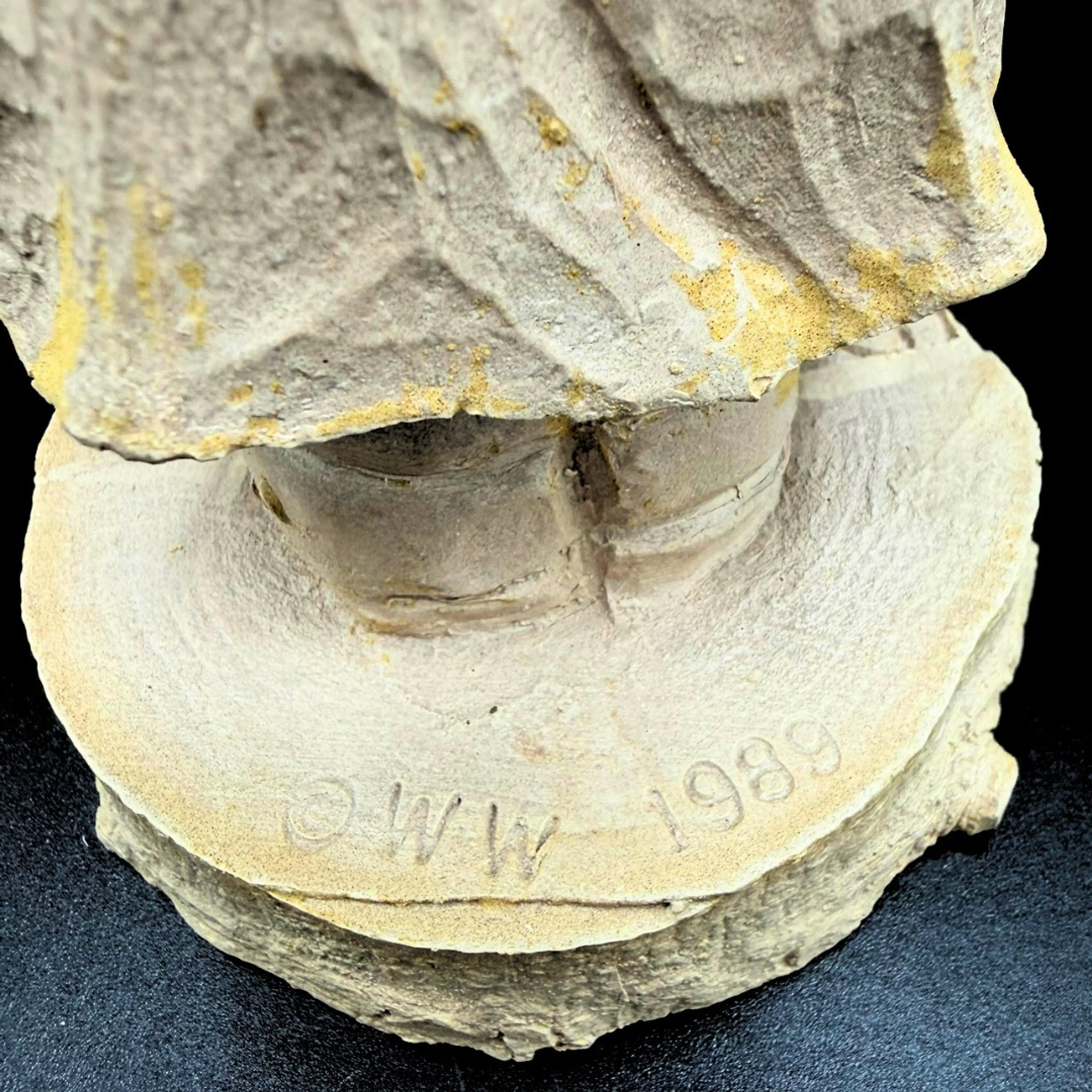 Image 4 of 9