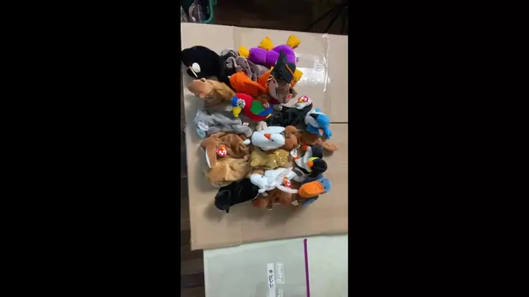 20 Beanie Babies Collectibles Lot - #7022