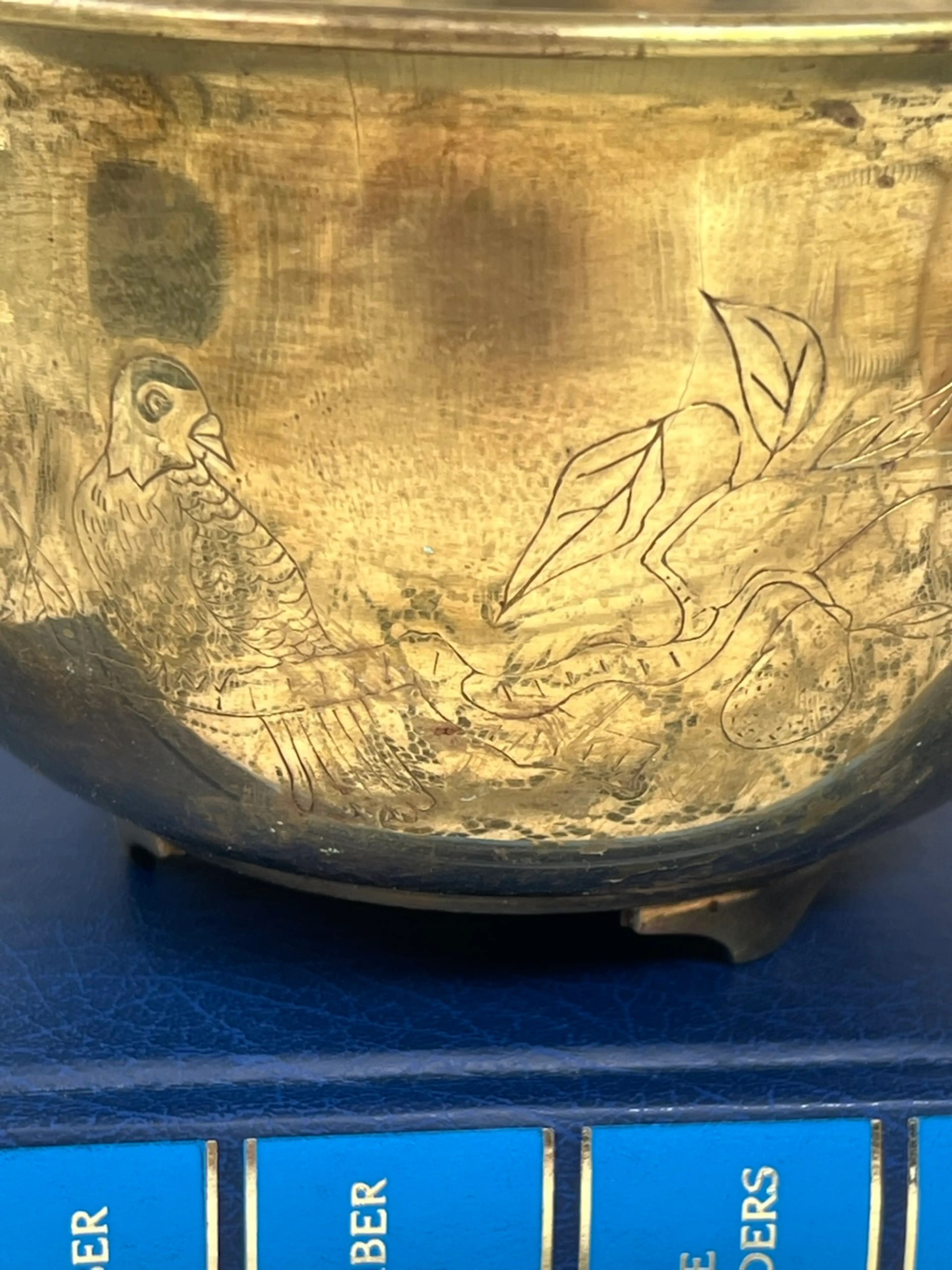 Image 2 of 11