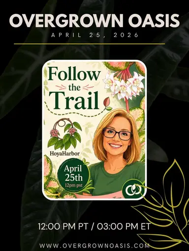 Follow The Ovo Trail!