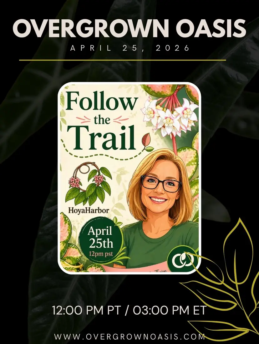 Livestream thumbnail