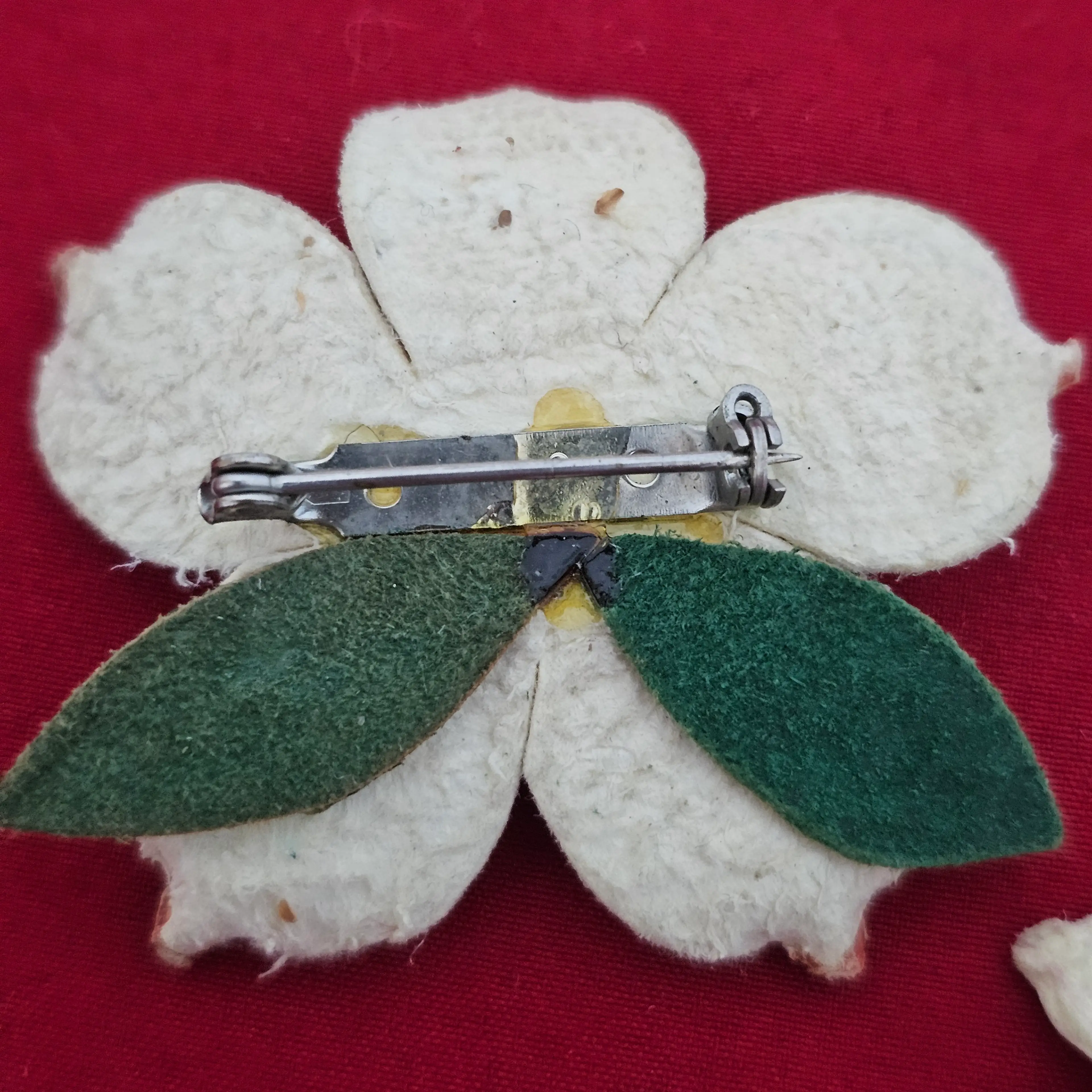 Image 5 of 7