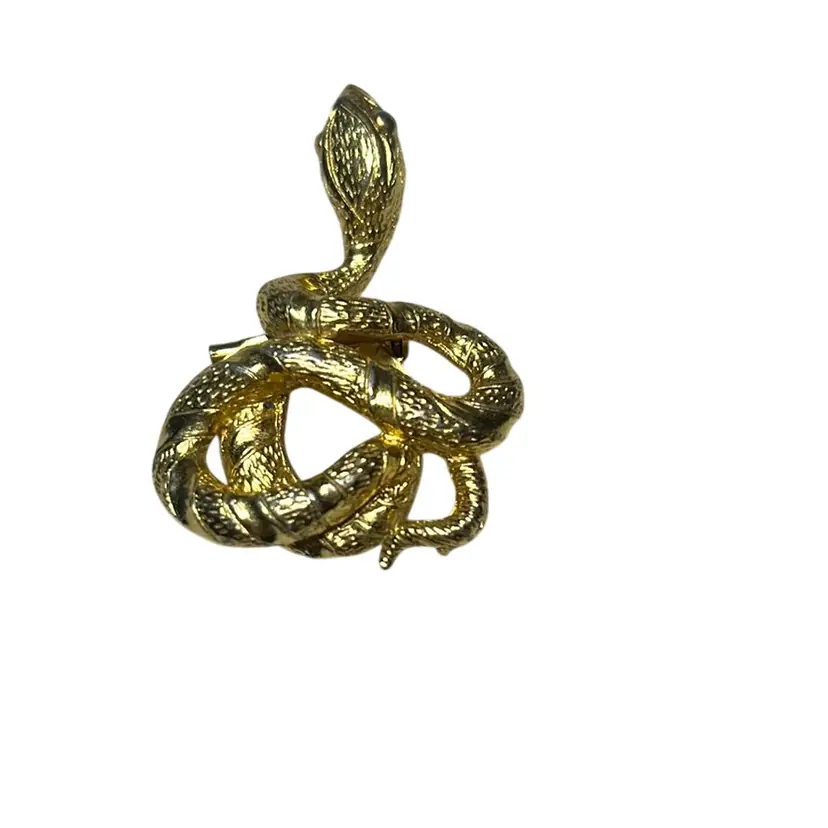 Snake Brooch