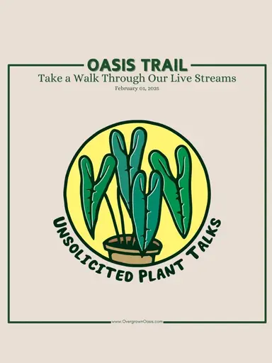 First Oasis Trail of the Year!