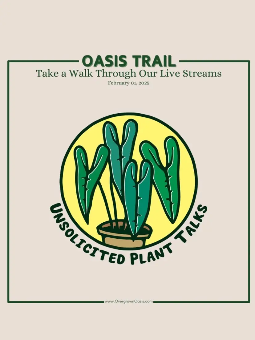 Livestream thumbnail