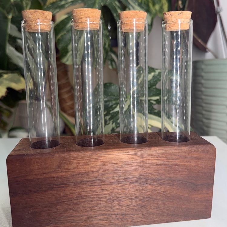 0044 - Wooden Propagation Station - Black Walnut 6.5”