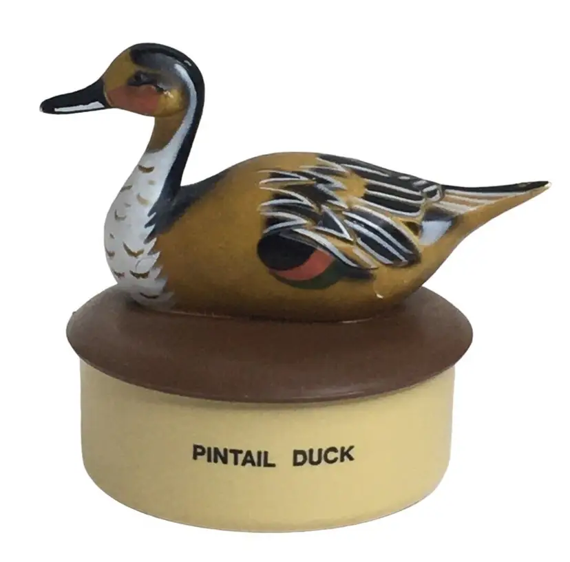 Vintage Pintail Duck Plastic Trinket Box Made in Hong Kong