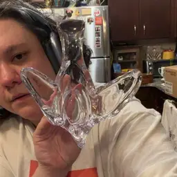 Princess House Dove Trinket Dish