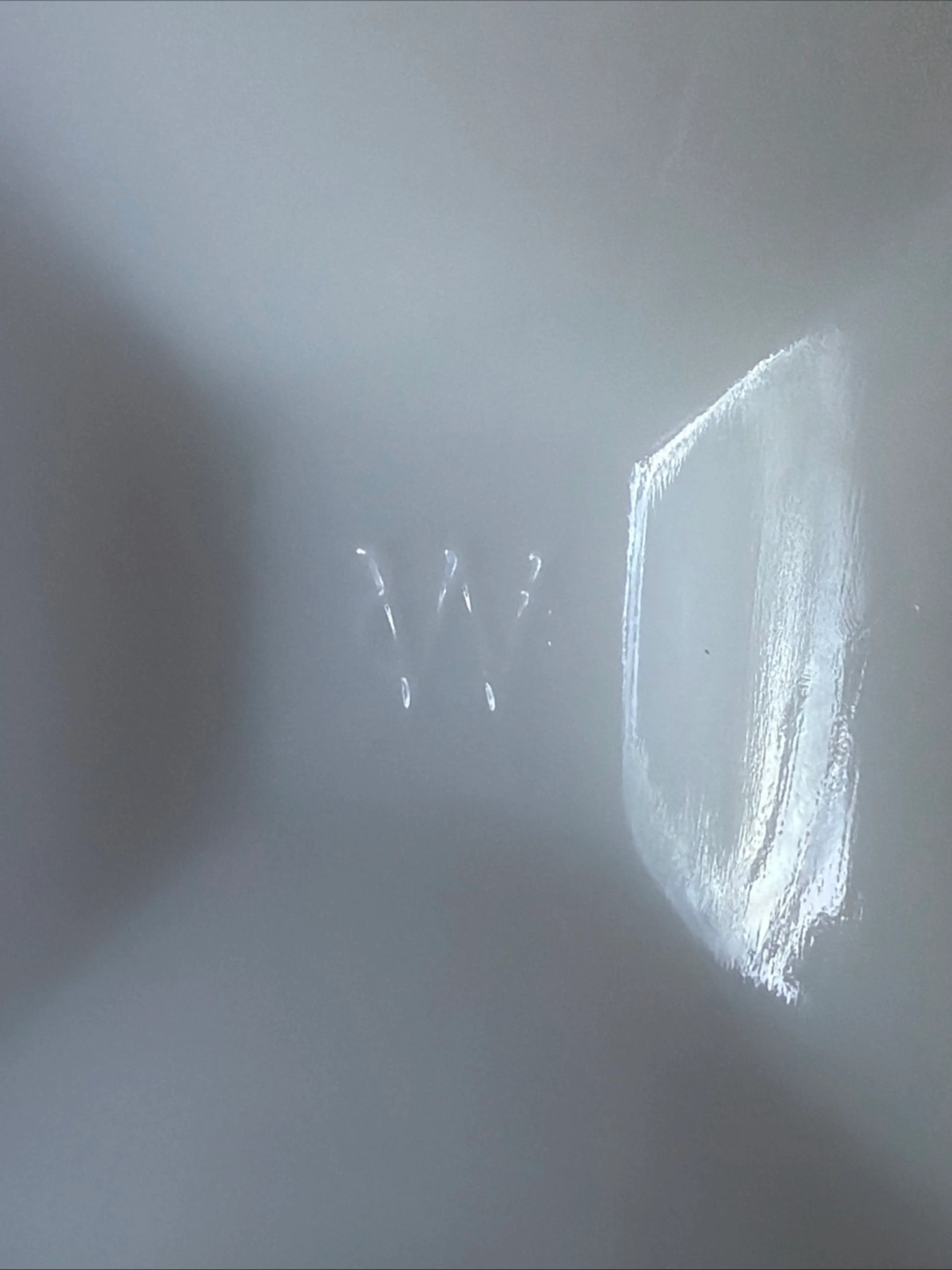 Image 5 of 6