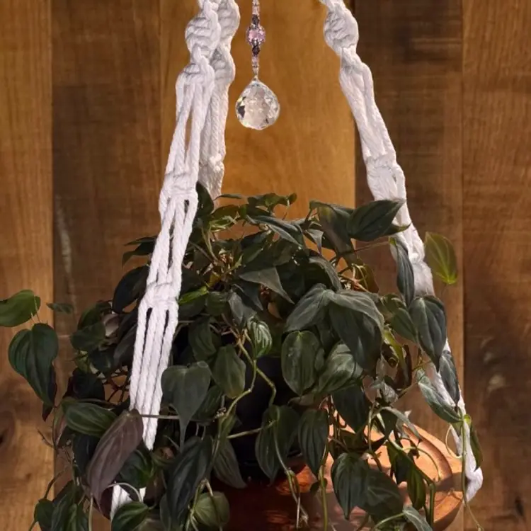 Handmade Macrame Plant Hanger with Wood Base