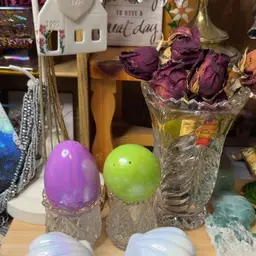 Mystery Seashell Easter Egg 1 Egg