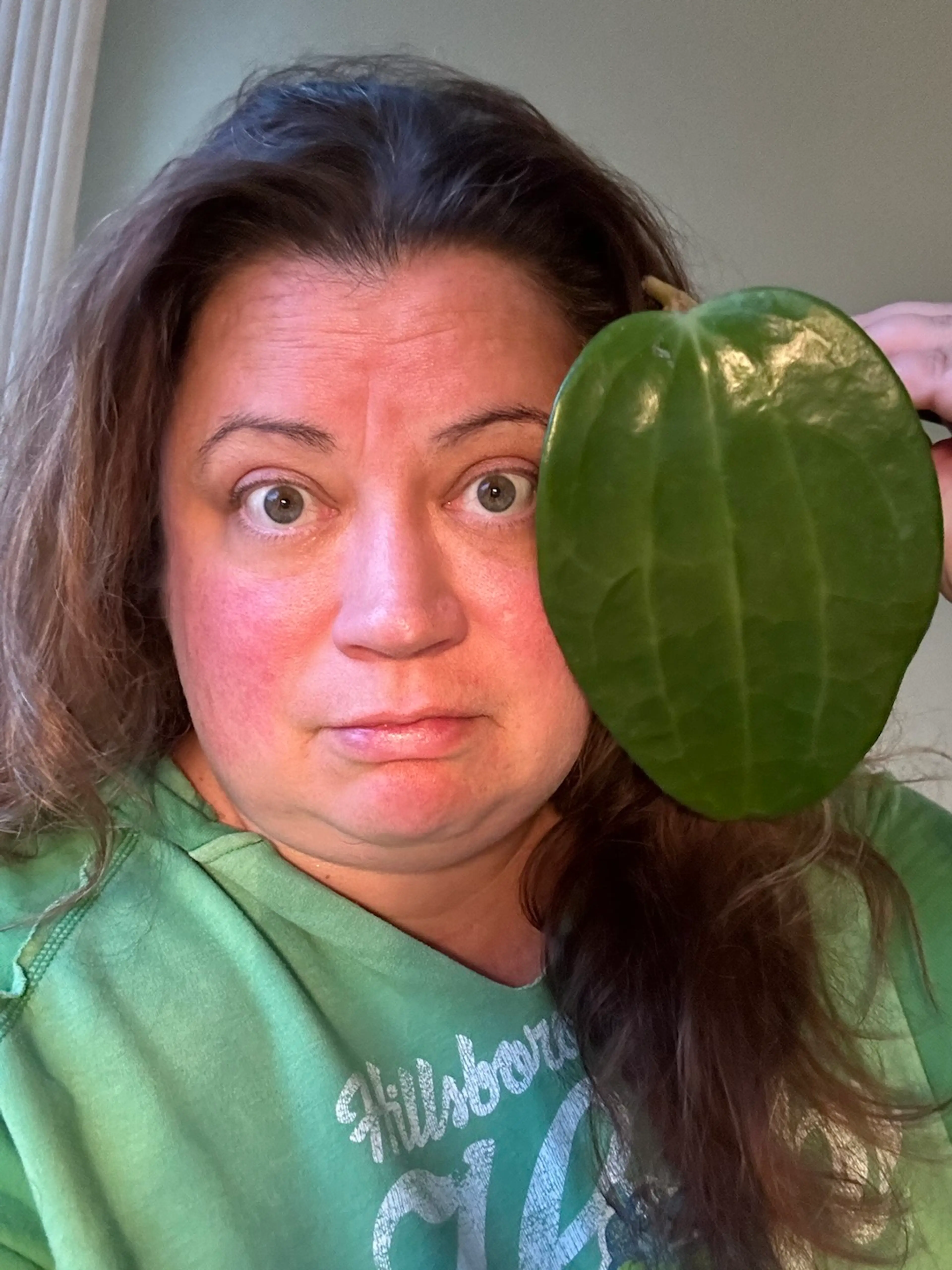 Seedling Shelf Setup/HBD BRANDON! 