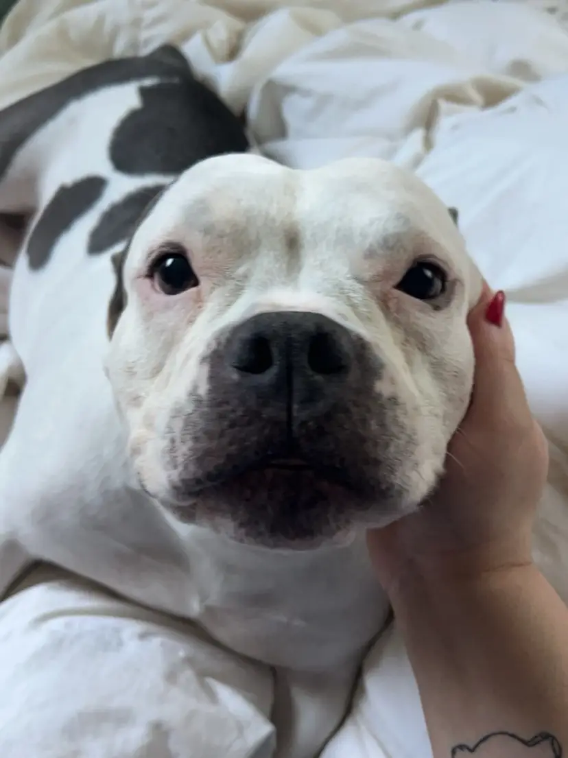 Livestream thumbnail