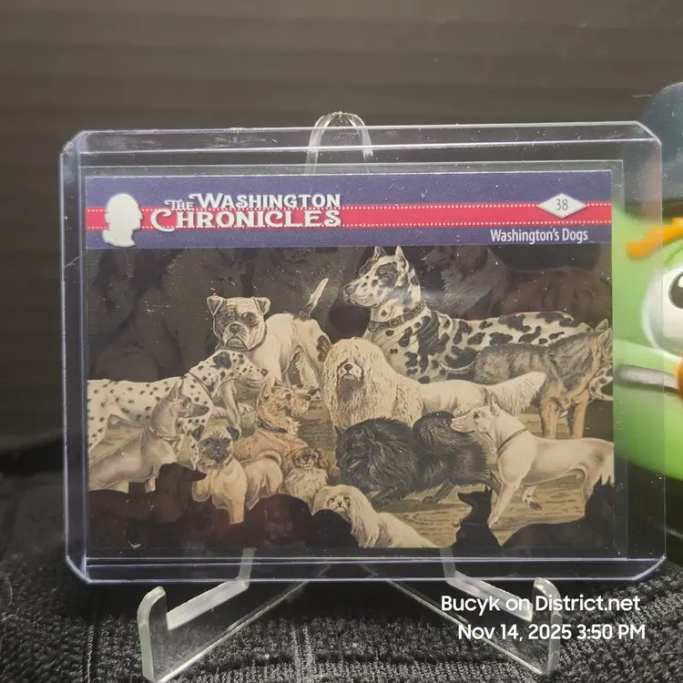 Washington Chronicles - Washington's Dogs 1/1