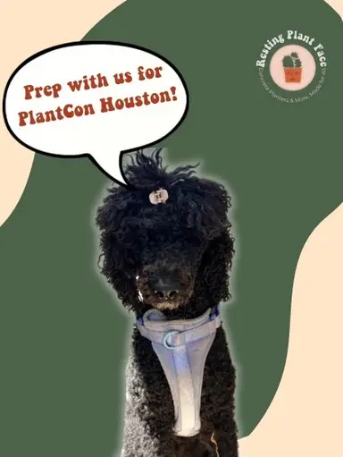 Plant Con Houston Prep! 