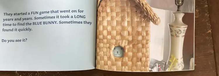 Did You Find the Blue Bunny Yet? Children’s book