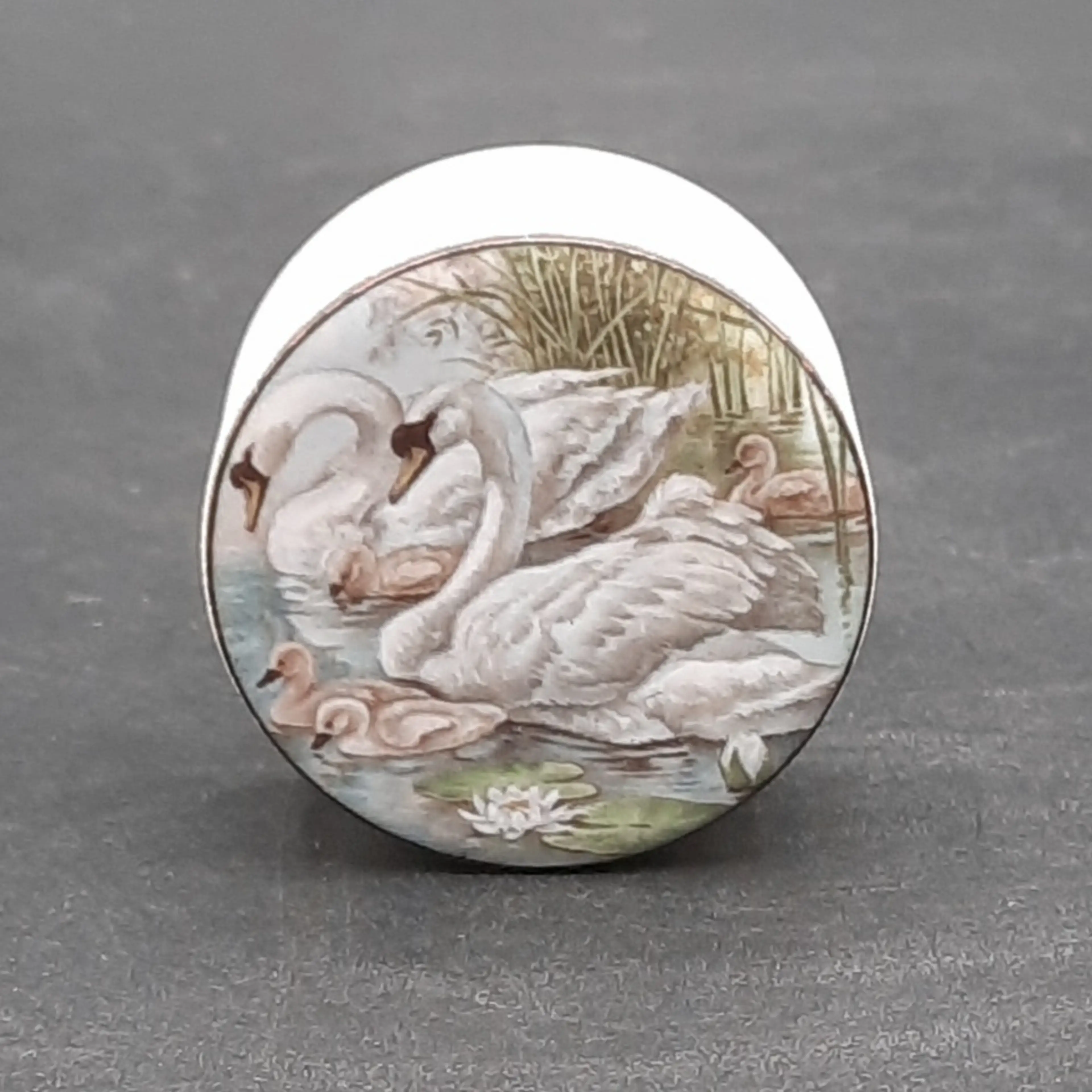 Image 1 of 5