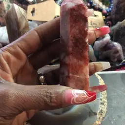 #22 - Sunday with the Peacock!!