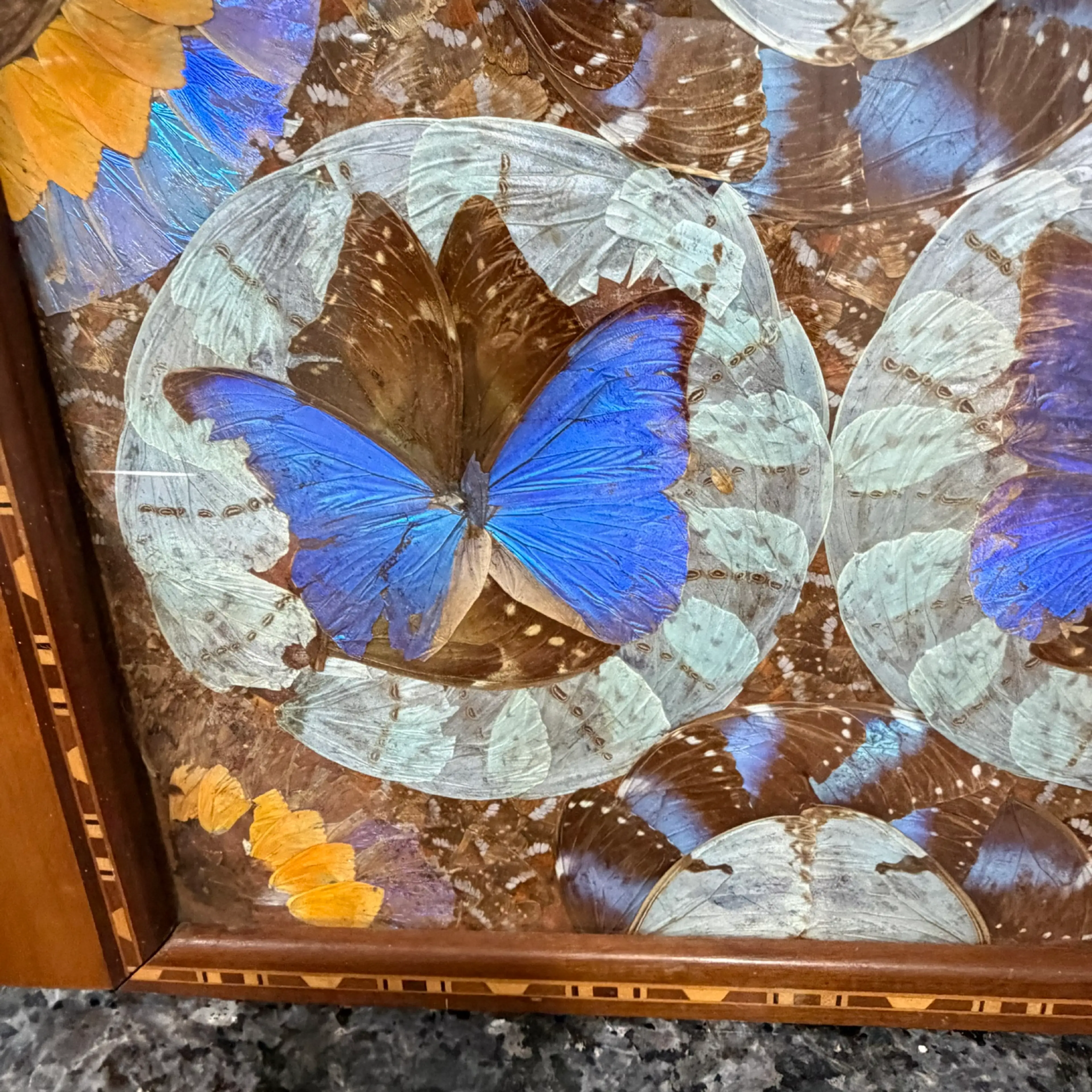 Image 3 of 8