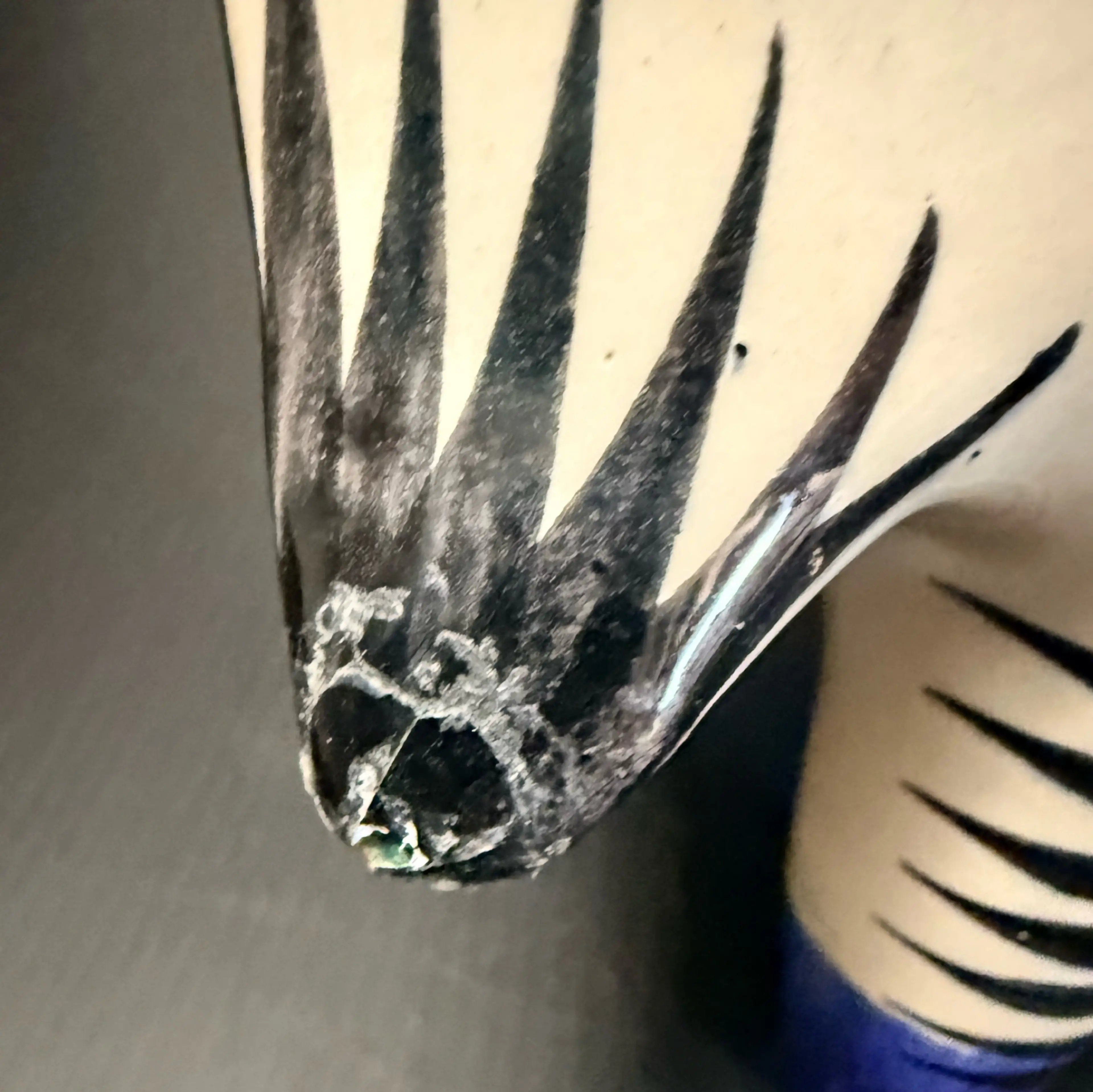 Image 5 of 5