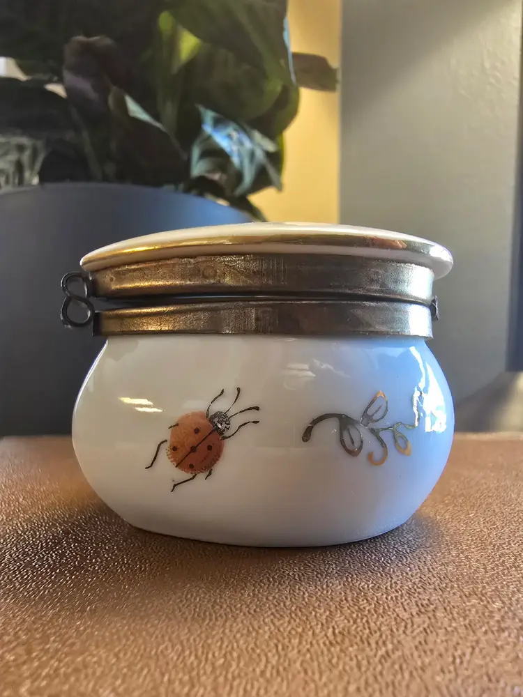 Heart shaped Butterfly and Ladybug Trinket Box