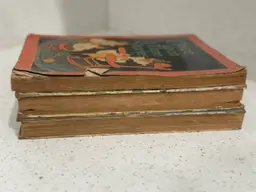 Vintage Antique Books For Staging Decor Children’s Large Size