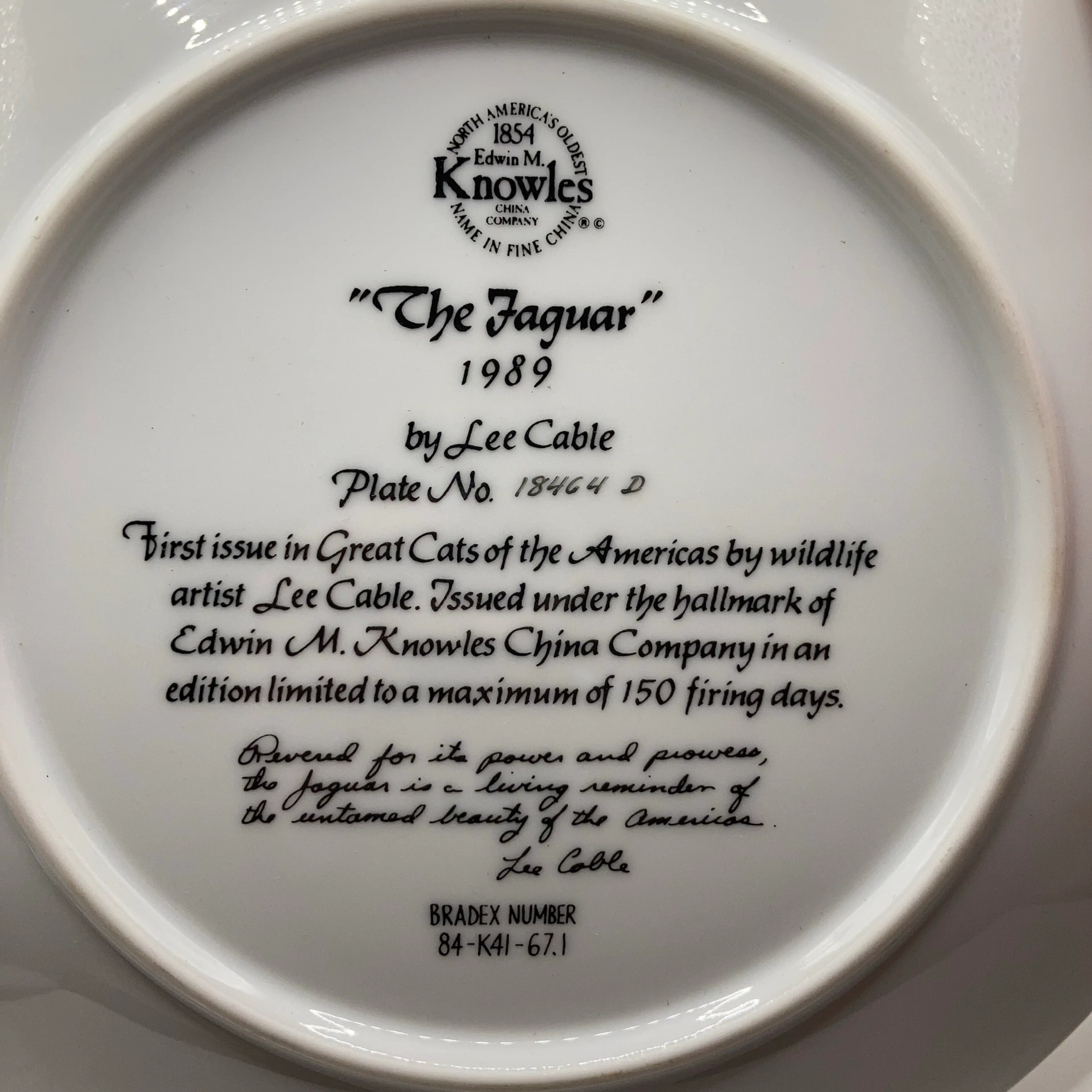 Image 4 of 10
