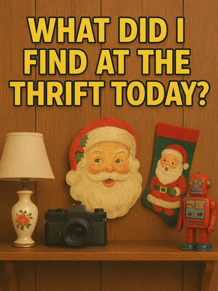 What Did I Find At The Thrift Today? 