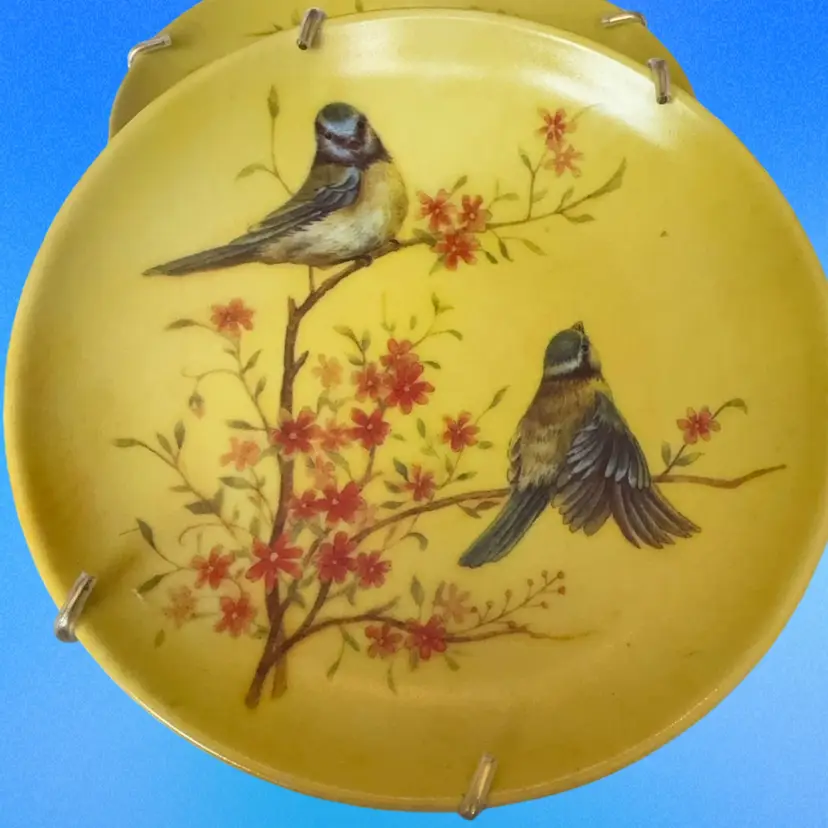 Set Of 2 Vintage Floral & Bird Plates .