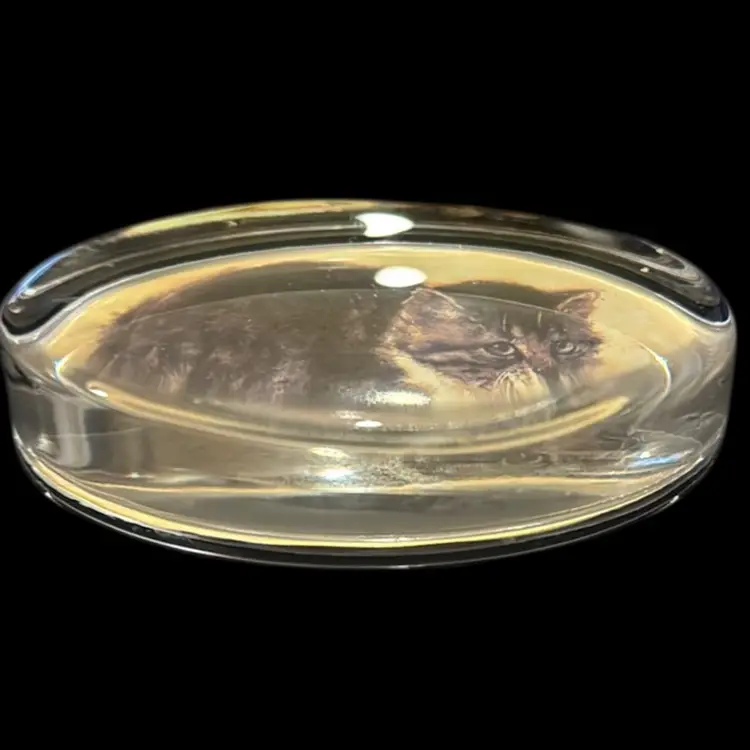 Vintage Parsons Kitten Paperweight- Vacant England