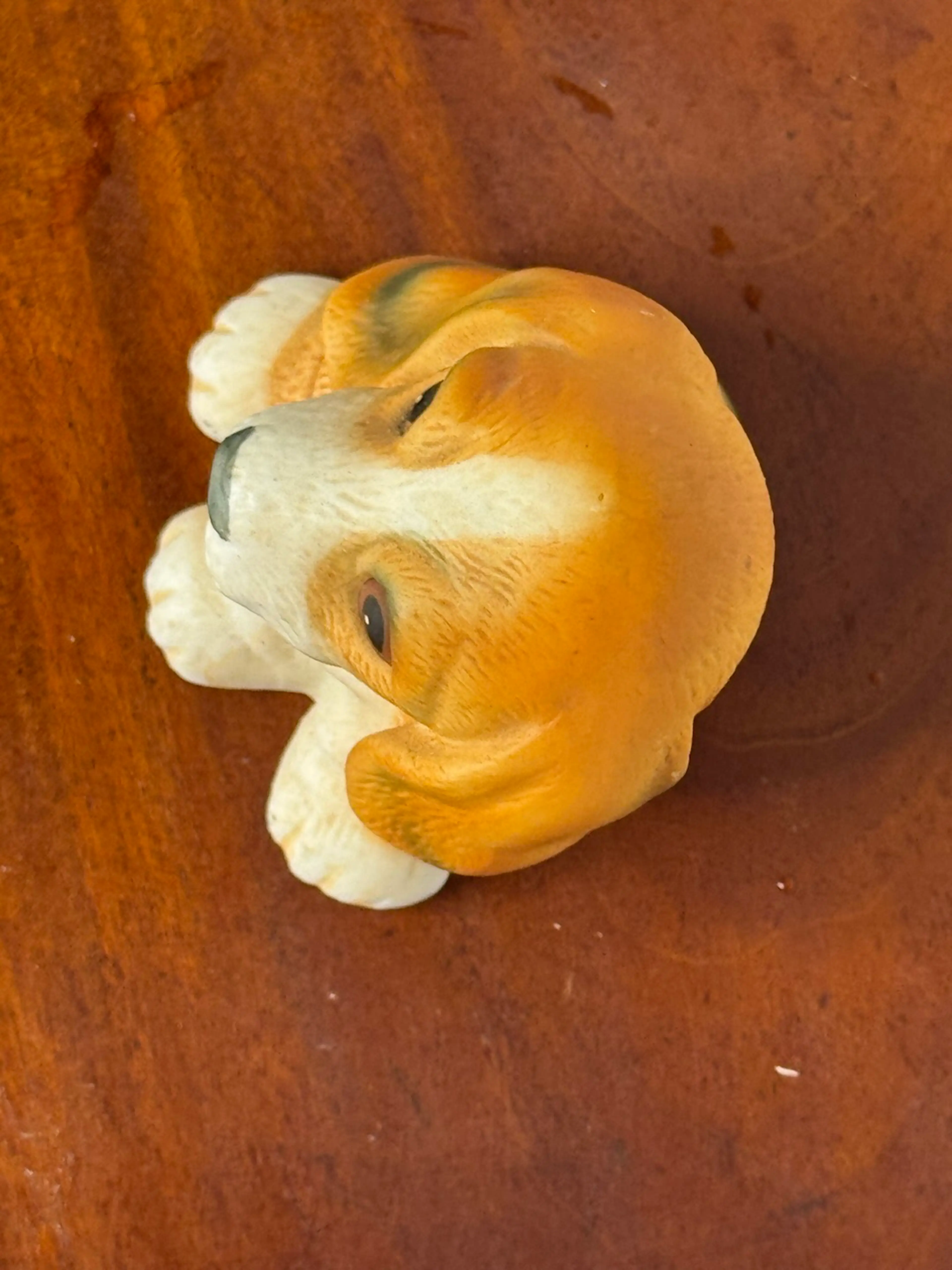 Image 5 of 7