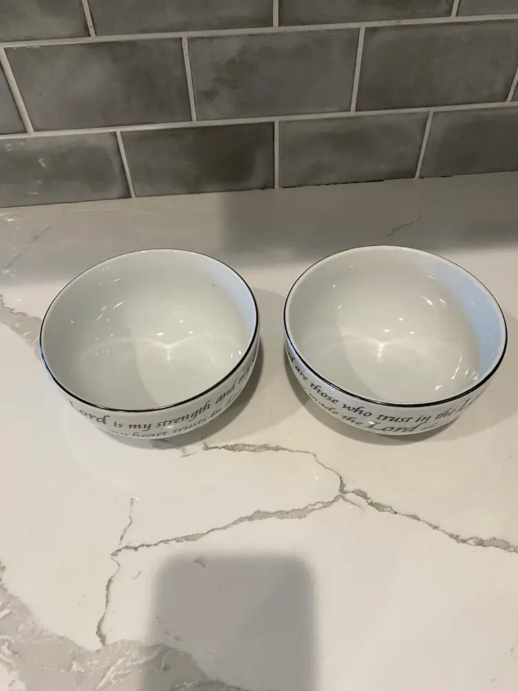 2 Coventry Daily Blessings 5.5" Bowls with Scripture Psalms 28:7 Jeremiah 17:7