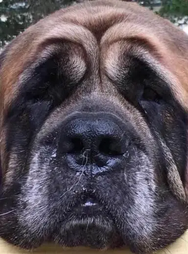 Glass/ Paperweights & More