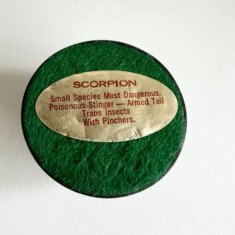 Scorpion Lucite Paperweight