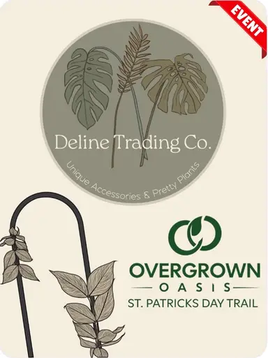 I’m New Here 👋 Check Out My Cool Stuff