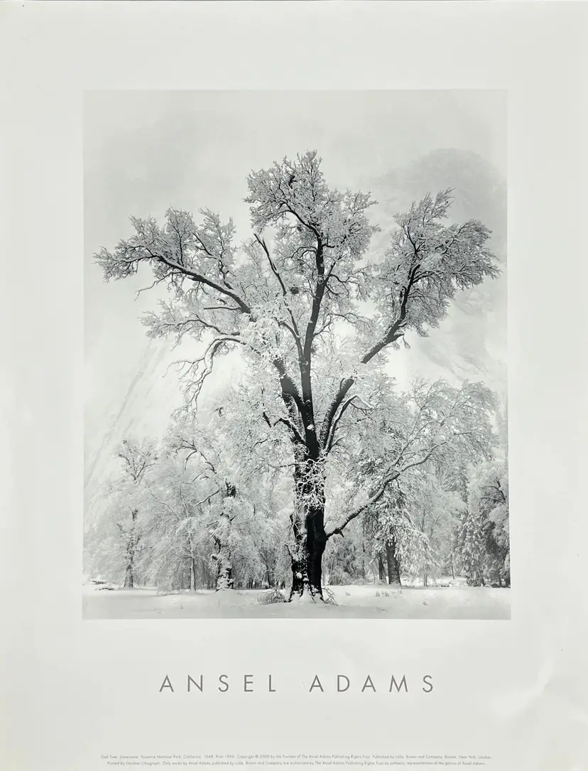 Ansel Adams Authorized Edition Photo Print Yosemite Oak Tree Snow Storm 11x14" 2000