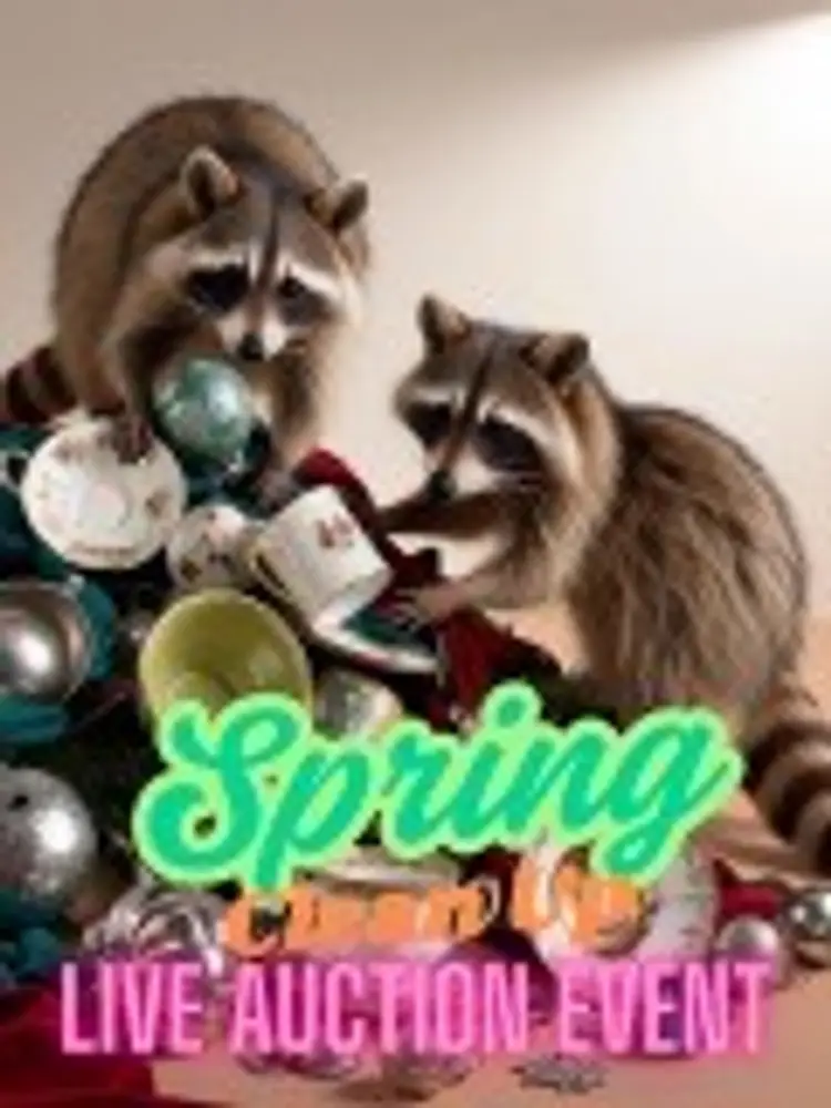 Spring Clean Up With Susie!