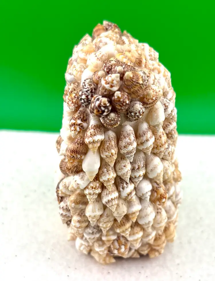 Vintage Shell Owl Figurine 3” Tall x 2.5” Wide