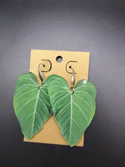 Philodendron Glorious Earrings