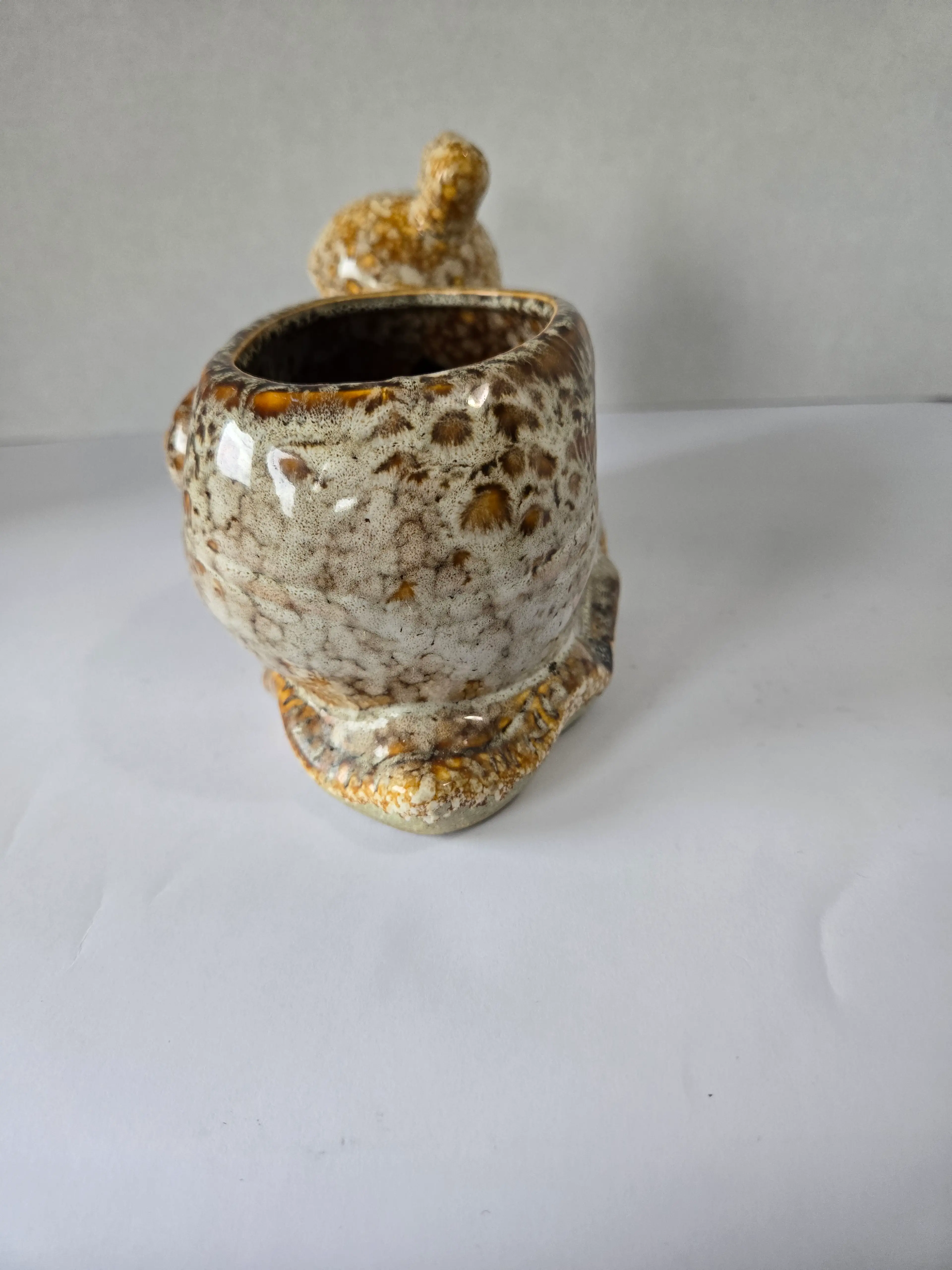 Image 5 of 6