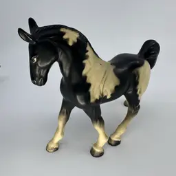 Black White Pinto Horse