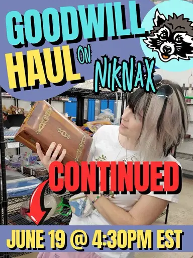 Goodwill Hail & Sale Continued